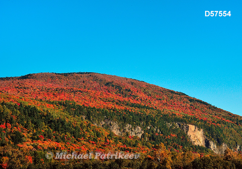 Fall colours, Cap Tourmente, Quebec, Canada